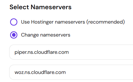 Both Cloudflare nameservers entered into the custom nameserver fields