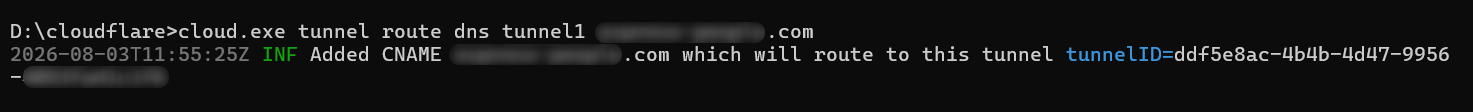Terminal output confirming the DNS route was added for the tunnel